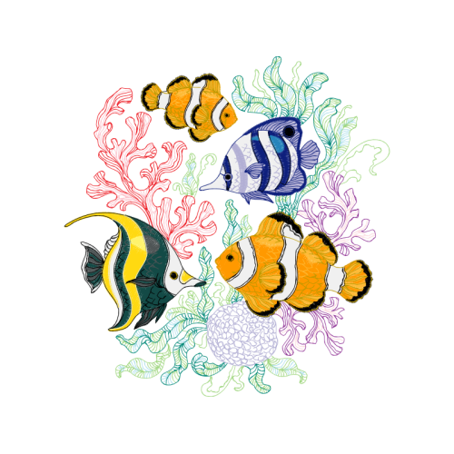 Drawing Animals Drawing Animals