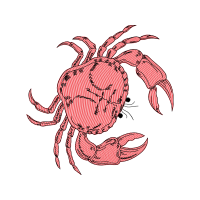 Drawing Animals Drawing Animals