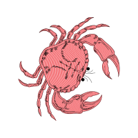 Drawing Animals Drawing Animals