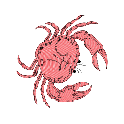 Drawing Animals Drawing Animals