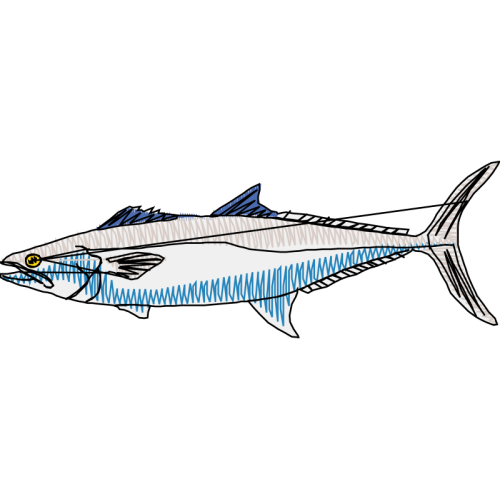 Escolar Animals Escolar Animals