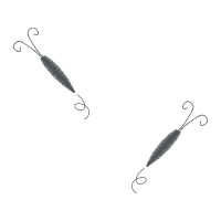 Fish Animals Fish Animals