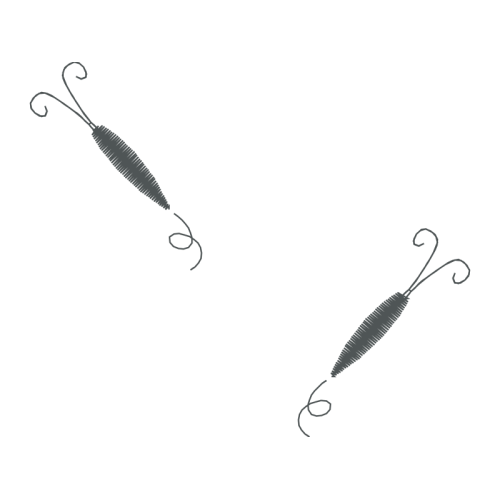 Fish Animals Fish Animals