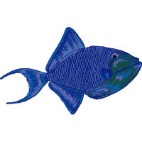 Fish Animals Fish Animals