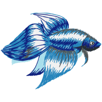 Fish Animals Fish Animals