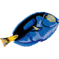 Fish Animals Fish Animals