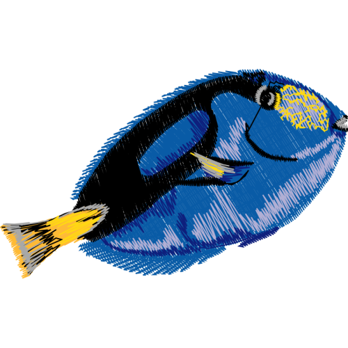 Fish Animals Fish Animals