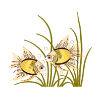 Fish Animals Fish Animals