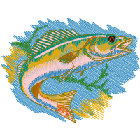 Fish Animals Fish Animals