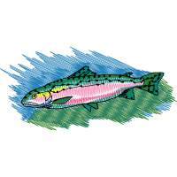 Fish Animals Fish Animals