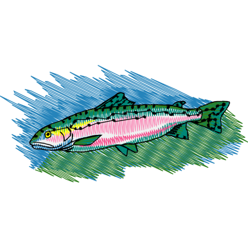 Fish Animals Fish Animals