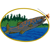 Fish Animals Fish Animals