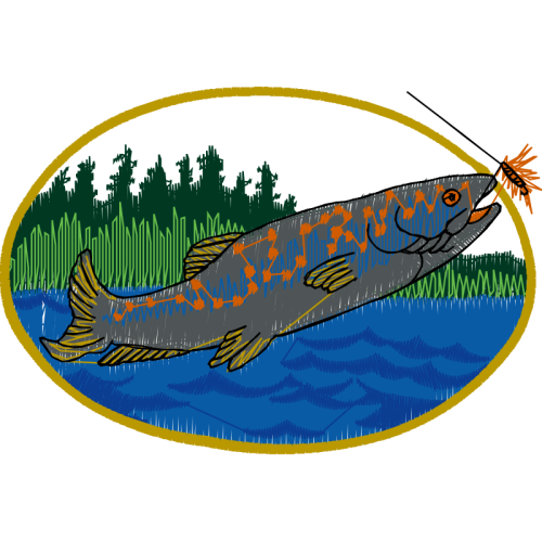 Fish Animals Fish Animals