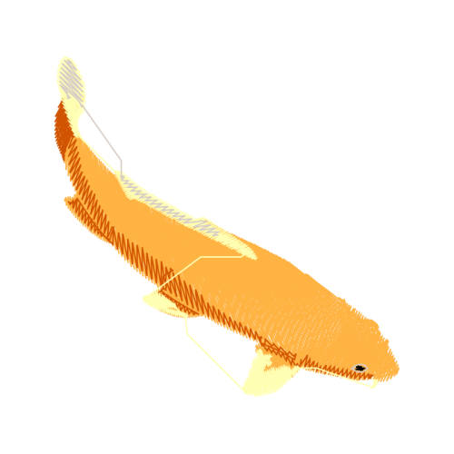 Fish Animals Fish Animals