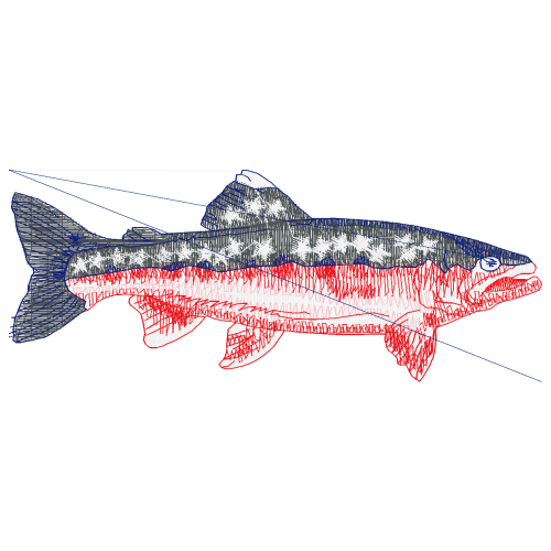 Fish Animals Fish Animals