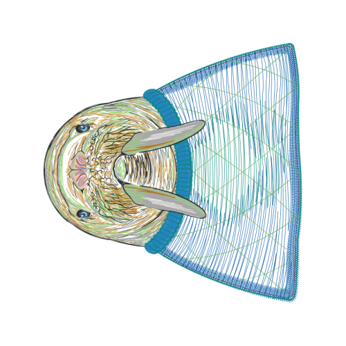 Fish Animals Fish Animals