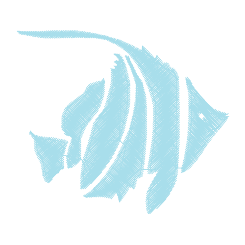 Fish Animals Fish Animals