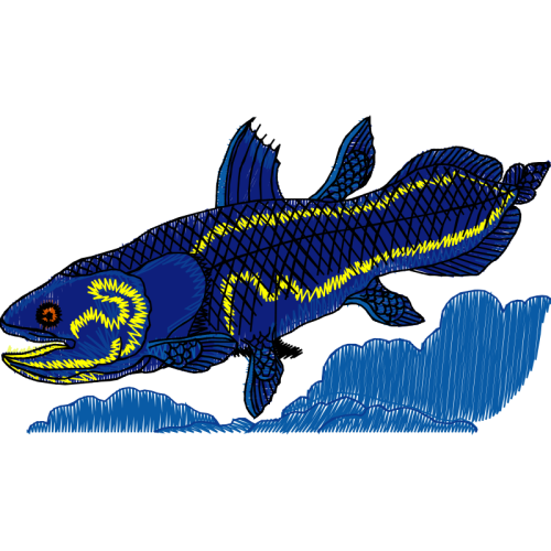 Fish Animals Fish Animals