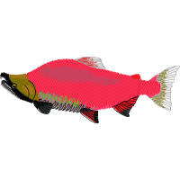 Fish Animals Fish Animals