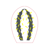 Fish Animals Fish Animals