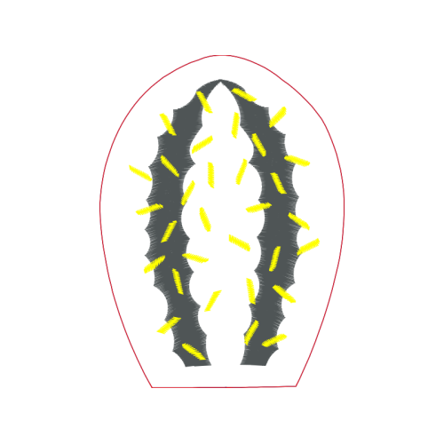 Fish Animals Fish Animals