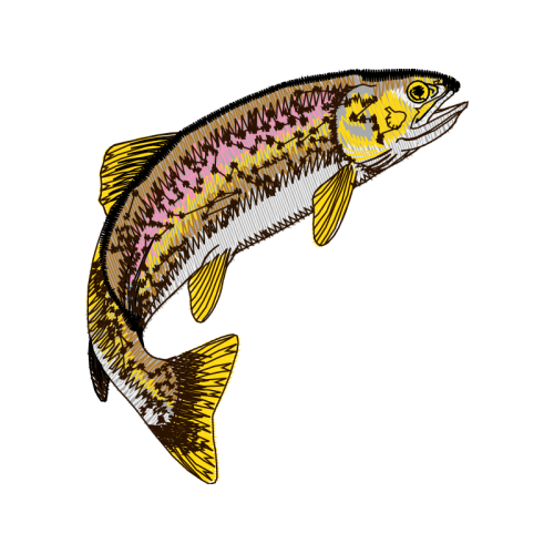 Fish Animals Fish Animals