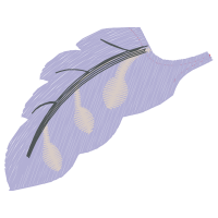 Fish Animals Fish Animals