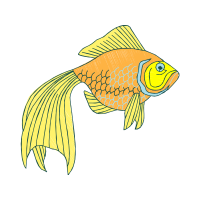 Fish Animals Fish Animals