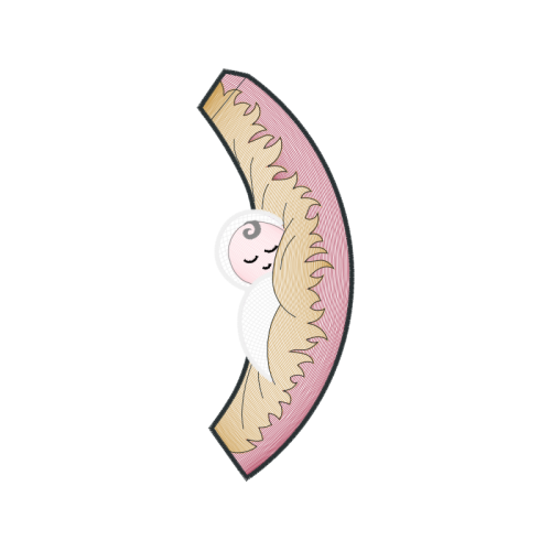 Fish Animals Fish Animals