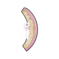 Fish Animals Fish Animals