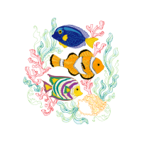 Fish Animals Fish Animals