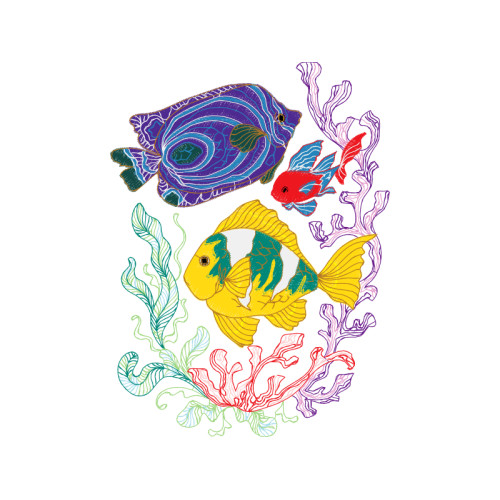 Fish Animals Fish Animals