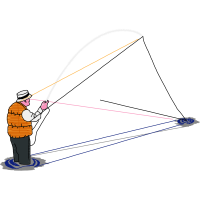 Fishing Animals Fishing Animals