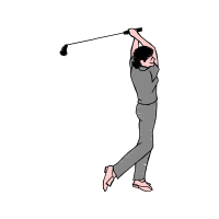 Fishing Animals Fishing Animals