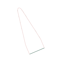 Fishing Animals Fishing Animals