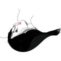 Freshwater Whipray Animals