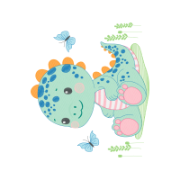 Gossamer Winged Butterflies Animals