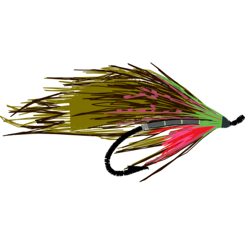 Graphic Animals Graphic Animals