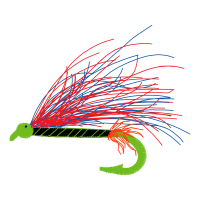 Graphic Animals Graphic Animals