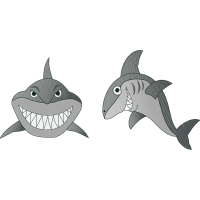 Great White Shark Animals