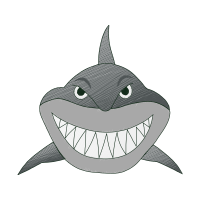 Great White Shark Animals