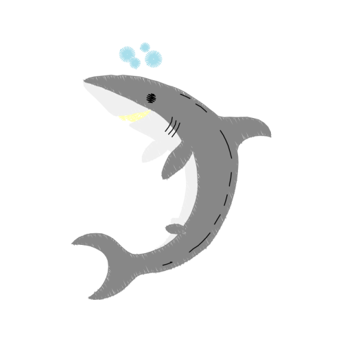 Great White Shark Animals Great White Shark Animals