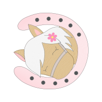 Great White Shark Animals