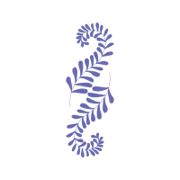 Green Sea Turtle Animals