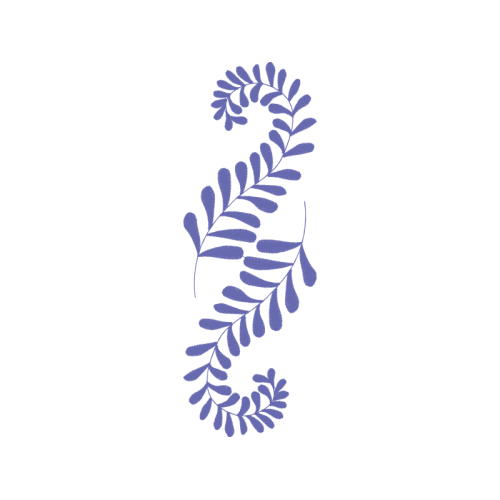 Green Sea Turtle Animals Green Sea Turtle Animals