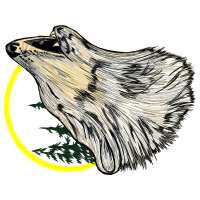 Hoary Marmot Animals