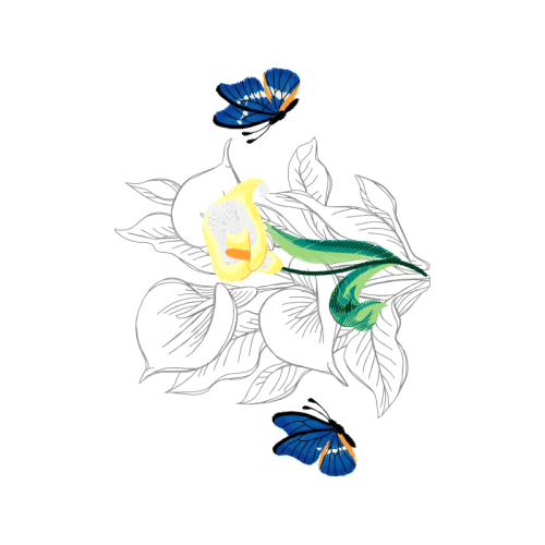 Holly Blue Animals Holly Blue Animals