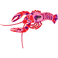 Homarus Animals
