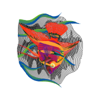 Illustration Animals