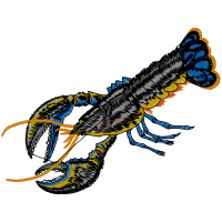 Illustration Animals